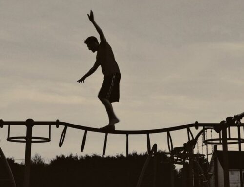 Equilibrios con la sostenibilidad
